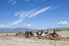 Iceland-Iceland Shorts-Snaefellsnes Beach Ride